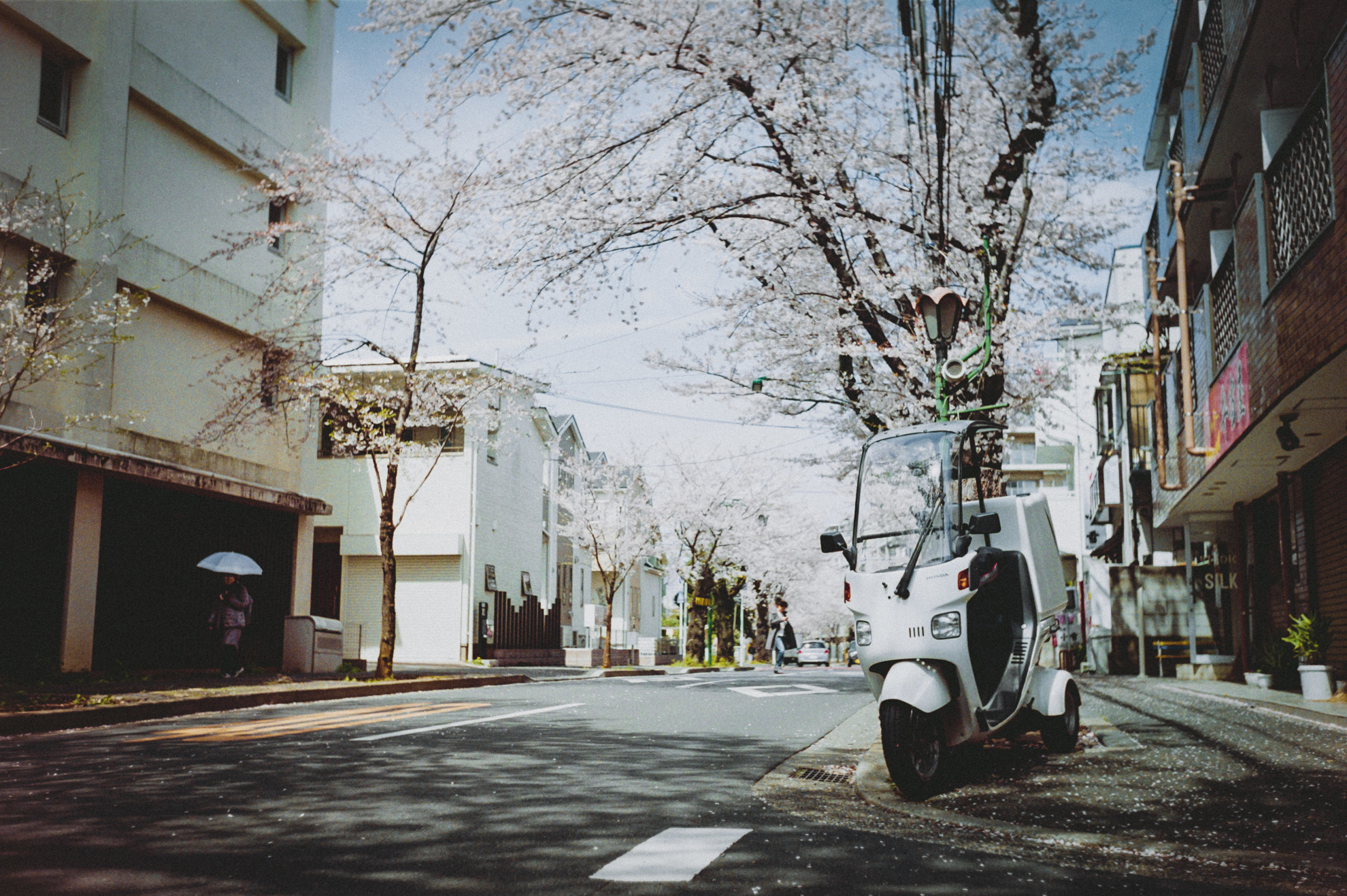M4_桜_01_